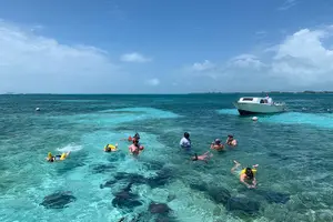Tour image of Coral Garden Shark and Sting Ray Alley Snorkeling