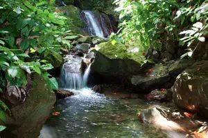Tour image of Full-Day Zipline and Waterfall Rappelling Adventure Near San Juan