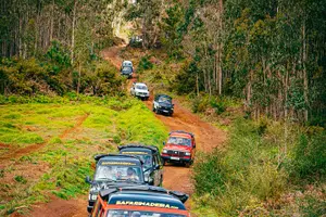 Tour image of Half-Day Small-Group Madeira Village Safari from Funchal