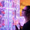 Image of Aquariums