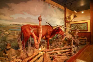 Tour image of The Buckhorn Saloon & Museum and Texas Ranger Museum Admission