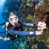 Image of Scuba Diving