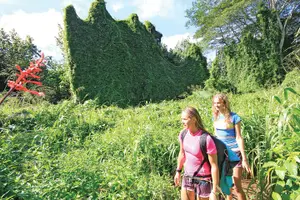 Tour image of Secret Falls Kayak and Hike in Kauai