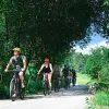 Image of Mountain Bike Tours