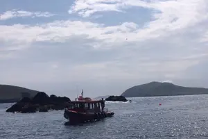 Tour image of The Great Blasket Island Experience - Premium Tour