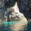 Image of Sightseeing Cruises