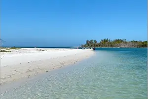 Tour image of Private Shelling and Dolphin Excursion