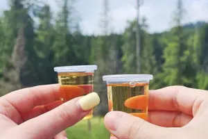 Tour image of ZAKOPANE & THERMAL SPRINGS, Funicular, Cheese Tasting