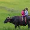 Image of Outback Tours