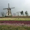 Image of Historical Tours