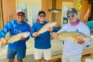 Tour image of 4 Hour Full Guided Fishing Trip