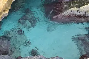 Tour image of Aruba UTV Tour with Natural Cave Pool and Cliff Jumping