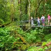 Image of Hiking Tours