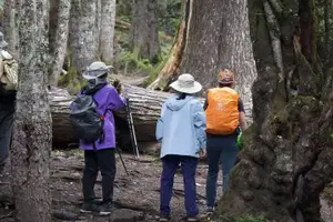 Tour image of 4 Day Yubeng Village Hiking Tour from Shangri La
