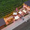 Image of Wine, Beer & Spirits