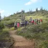 Image of Camping