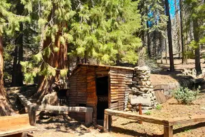 Tour image of Sequoia National Park Private Tour