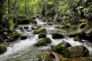Tour image of Volcano Tenorio Rio Celeste ATV Adventure Max 9 Guest 2-2.5 Hours