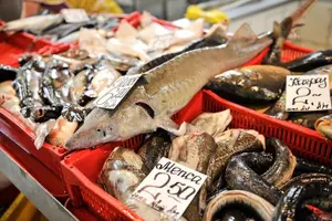 Tour image of Riga Central Market
