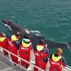 Image of Nature and Wildlife Tours