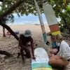 Image of Surfing Lessons