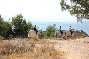 Tour image of Algarve - Exclusive horseriding in Portimao (no experience required)