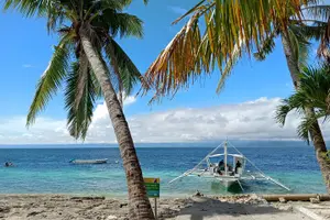Tour image of Oslob Whale Sharks and Moalboal Sardine Run, Sea Turtles Tour
