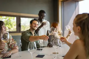 Tour image of Private Saint-Tropez Peninsula Wine Tour