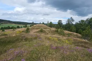 Tour image of Viking History, Runes & Countryside 9h Tour to Sigtuna & Uppsala