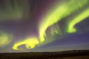 Tour image of Northern Lights Viewing including Dinner and 1-Hour Dog Sledding