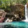 Image of Swimming