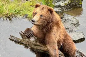 Tour image of Explore Beyond the Dock: Unforgettable Private Tour in Sitka