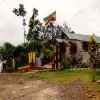 Image of Historical Tours