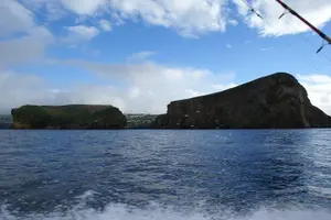 Tour image of Fish In the Azores