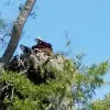 Image of Eco Tours