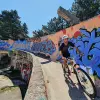 Image of Mountain Bike Tours