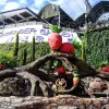 Image of Plantation Tours