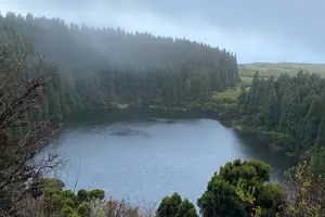 Tour image of 500 years of vines and 300,000 years of island, an infinite story