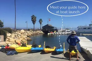 Tour image of Sunset Kayak Tour in Santa Barbara Harbor (2 Hours)