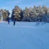 Image of Skiing