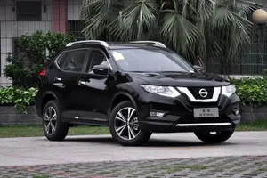 Tour image of Private Car Transfer Urumqi Airport/Urumqi hotel