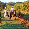 Image of Horseback Riding
