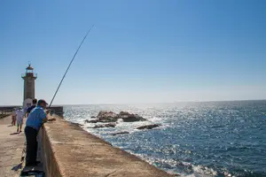 Tour image of Porto Full Day City Tour Wine Tasting and Six Bridges Cruise