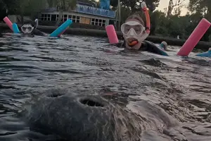 Tour image of Crystal River