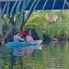 Image of On the Water