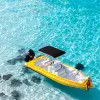 Image of Sightseeing Cruises