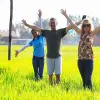 Image of Plantation Tours