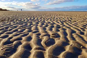 Tour image of Ķemeri Great Bog Discovery With Optional Sunrise & Jūrmala Visit