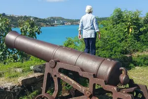 Tour image of St. John's City Private Tour including Fort James