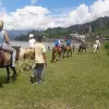 Image of Horseback Riding